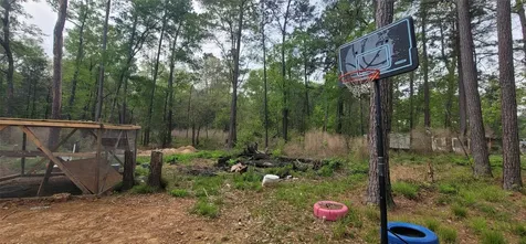 451 N Higgins Shepherd TX 77371