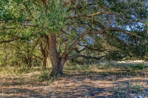 Tbd Pleasant Hill School Road Brenham TX 77833