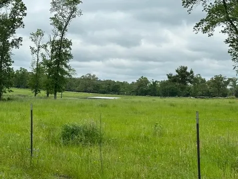 000 Co Road 235 Oakwood TX 75855