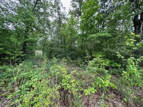000 Co Road 235 Oakwood TX 75855