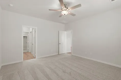 29207 Dandelion Sky Drive Waller TX 77484