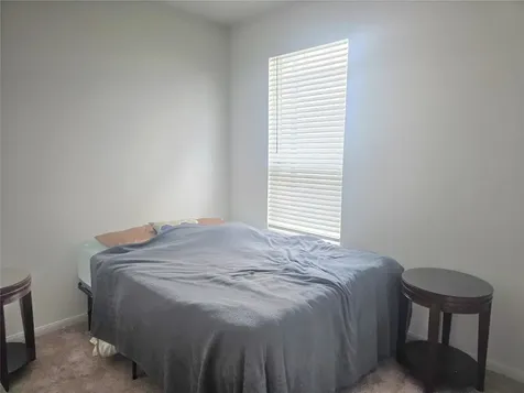 17806 Juneberry Seed Street Hockley TX 77447