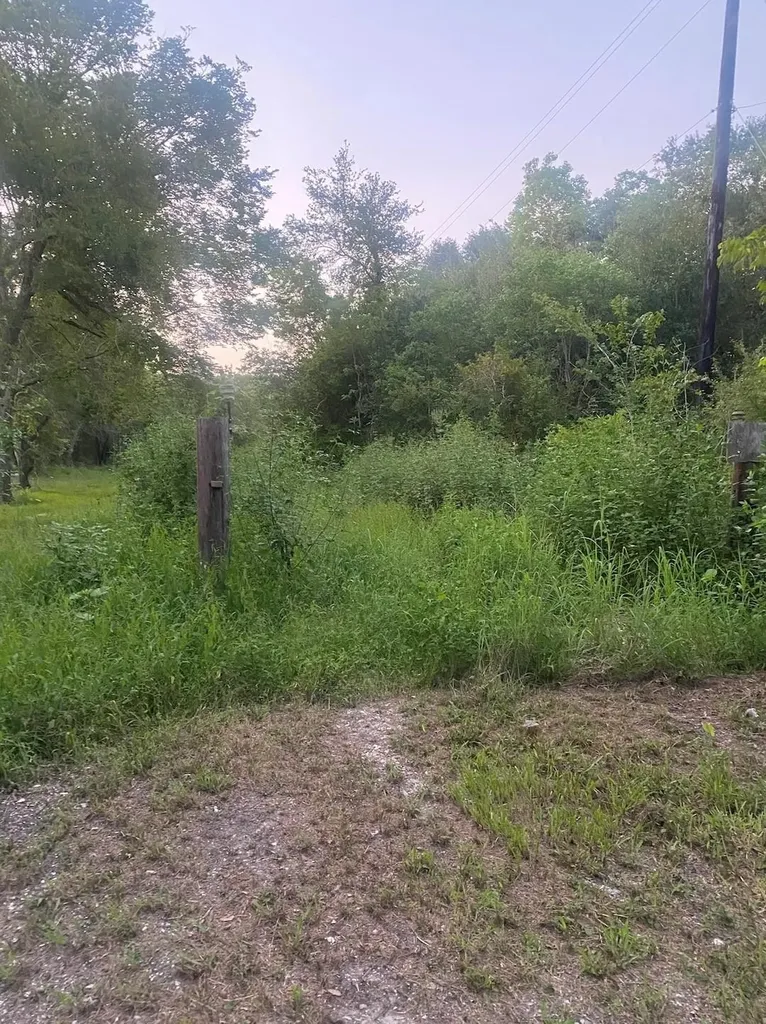 114 Black Bass Drive Danbury TX 77534