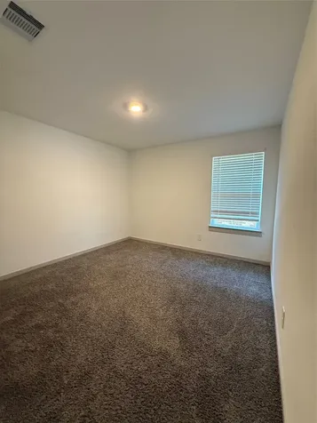 30007 Reagans Ranch Drive Katy TX 77494