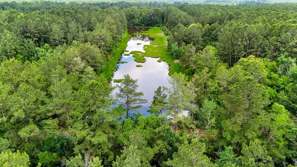Tbd Private Road 5170 Kirbyville TX 75956