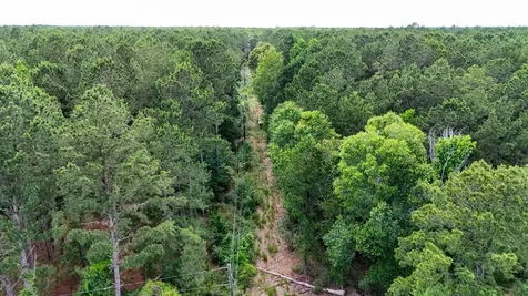 Tbd Private Road 5170 Kirbyville TX 75956