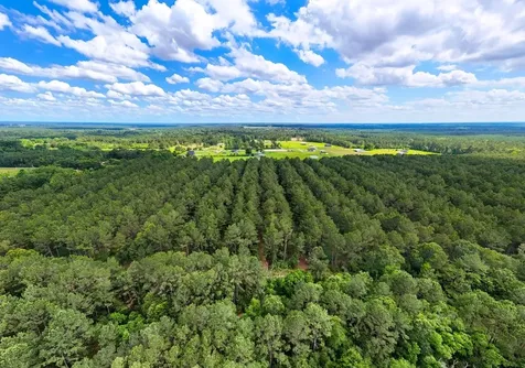 Tbd Private Road 5170 Kirbyville TX 75956