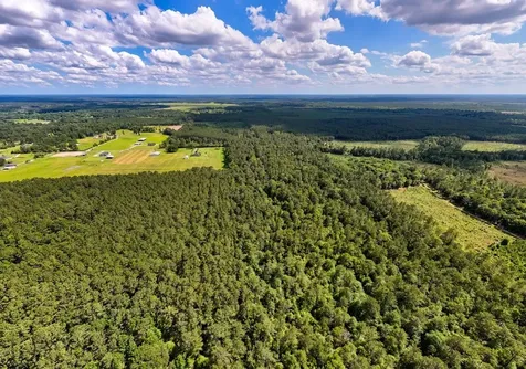 Tbd Private Road 5170 Kirbyville TX 75956