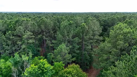 Tbd Private Road 5170 Kirbyville TX 75956