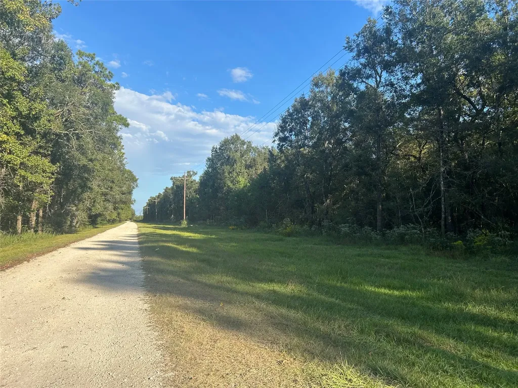 Tract 45, 46 Tx-61 Pr 117 Devers TX 77538