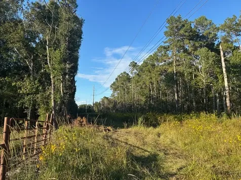 Tract 45, 46 Tx-61 Pr 117 Devers TX 77538