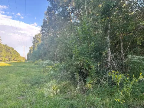 Tract 45, 46 Tx-61 Pr 117 Devers TX 77538