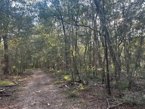 Tract 45, 46 Tx-61 Pr 117 Devers TX 77538