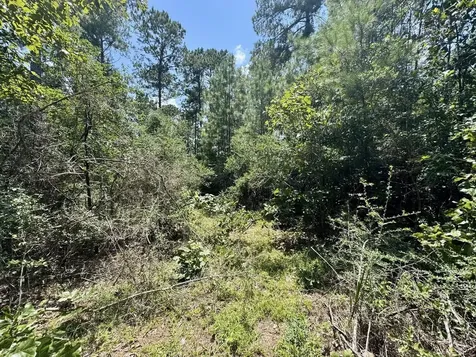 Tbd Lakeland Ranch Lot 290 Hillister TX 77624