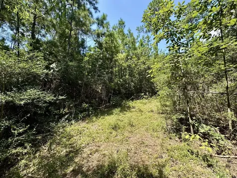 Tbd Lakeland Ranch Lot 290 Hillister TX 77624