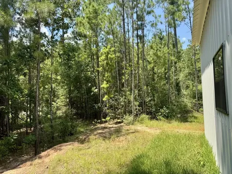 Tbd Lakeland Ranch Lot 290 Hillister TX 77624