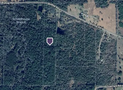 585 Bishop Road Huntsville TX 77320