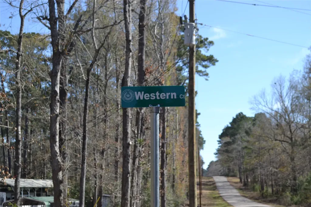 000 Central Drive Coldspring TX 77331