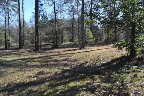 000 Central Drive Coldspring TX 77331