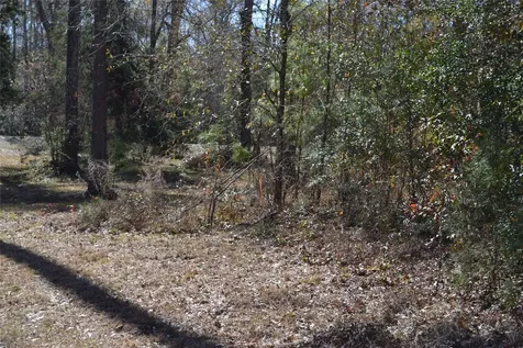 000 Central Drive Coldspring TX 77331