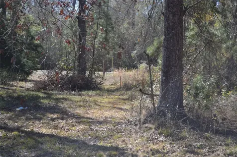 000 Central Drive Coldspring TX 77331