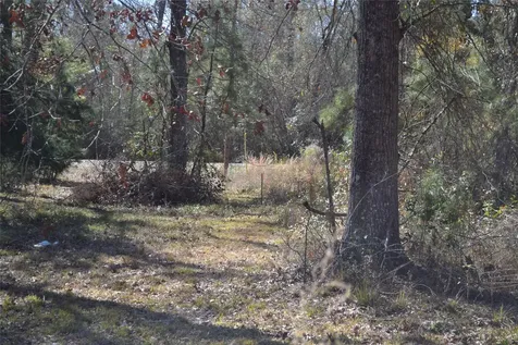 000 Central Drive Coldspring TX 77331