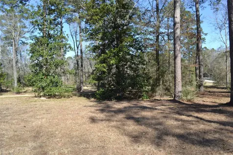 000 Central Drive Coldspring TX 77331