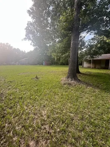 411 Richard Street Coldspring TX 77331