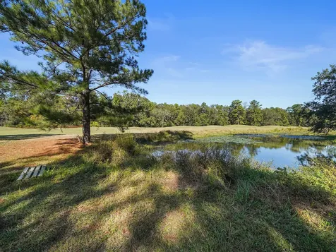 26806 Eagles Landing Huffman TX 77336