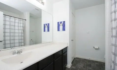10516 Primo Place Spring TX 77379
