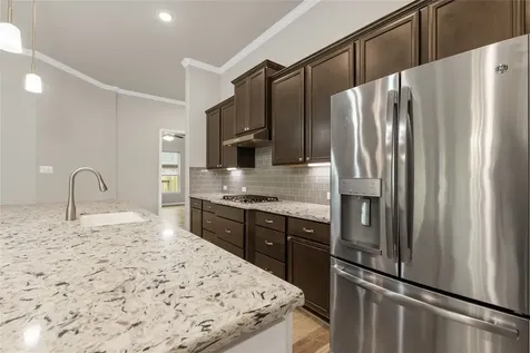 120 Crinium Lily Court Montgomery TX 77316