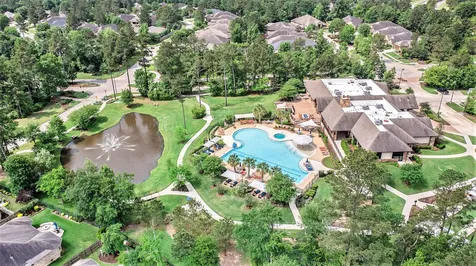 120 Crinium Lily Court Montgomery TX 77316
