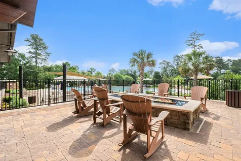 120 Crinium Lily Court Montgomery TX 77316
