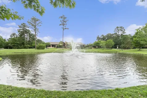 120 Crinium Lily Court Montgomery TX 77316