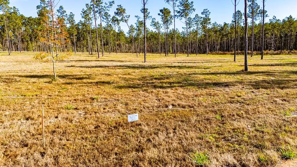 Lot 20 Big Buck Drive Moscow TX 75960
