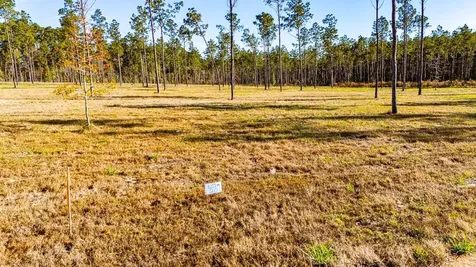 Lot 20 Big Buck Drive Moscow TX 75960