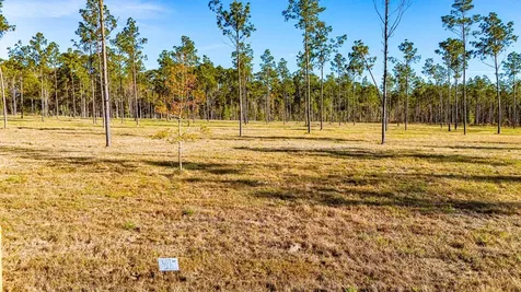 Lot 20 Big Buck Drive Moscow TX 75960
