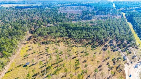 Lot 20 Big Buck Drive Moscow TX 75960