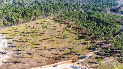 Lot 20 Big Buck Drive Moscow TX 75960