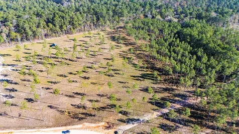 Lot 20 Big Buck Drive Moscow TX 75960