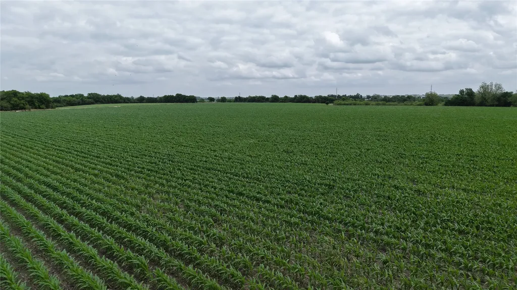 53 County Road 453 Taylor TX 76574