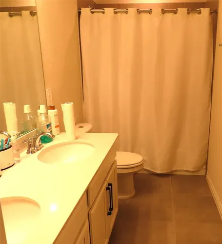 10818 Sugar Pine Lane Rosharon TX 77583