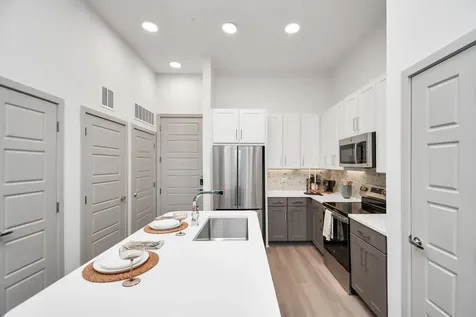 1617 Enid Street 318 Houston TX 77009