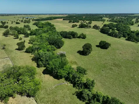 Tract #7 Cr 305 Road Navasota TX 77868