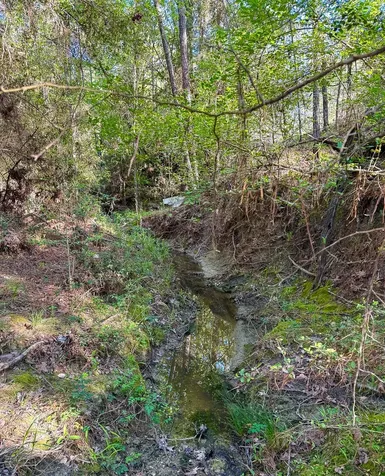 38 00 Fm 3454 Huntsville TX 77320