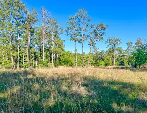 38 00 Fm 3454 Huntsville TX 77320