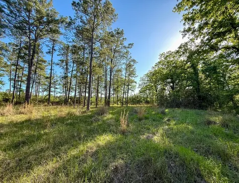 38 00 Fm 3454 Huntsville TX 77320