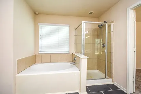 4915 Ibis Lake Court Katy TX 77449