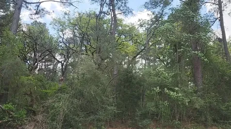 Lot 2 N Council Drive Hempstead TX 77445