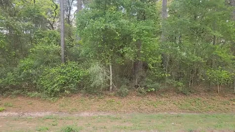Lot 2 N Council Drive Hempstead TX 77445
